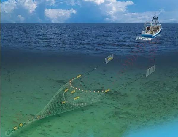 刺激爆率捕鱼，畅享快感满足