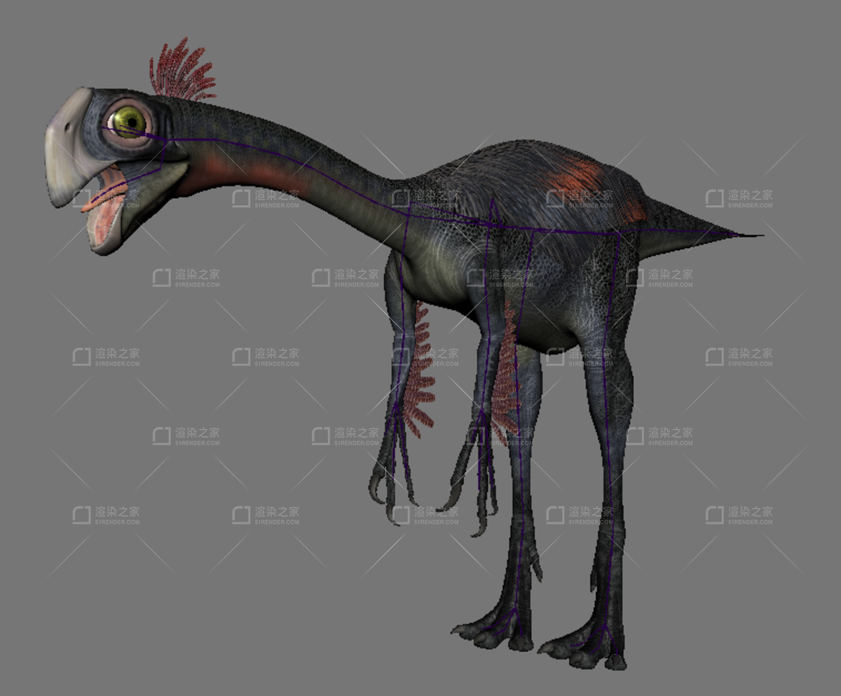 追寻巨盗龙：一位古怪宝藏猎人的传奇之旅