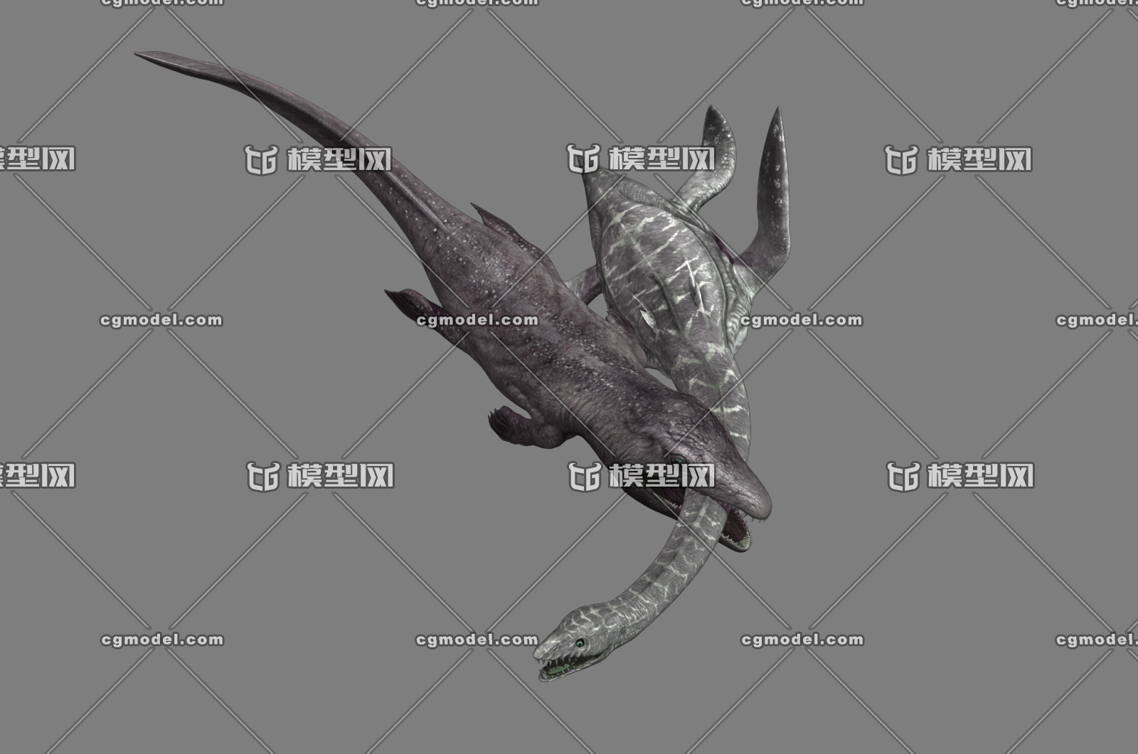 水龙兽：天地灵气传奇闪亮登场