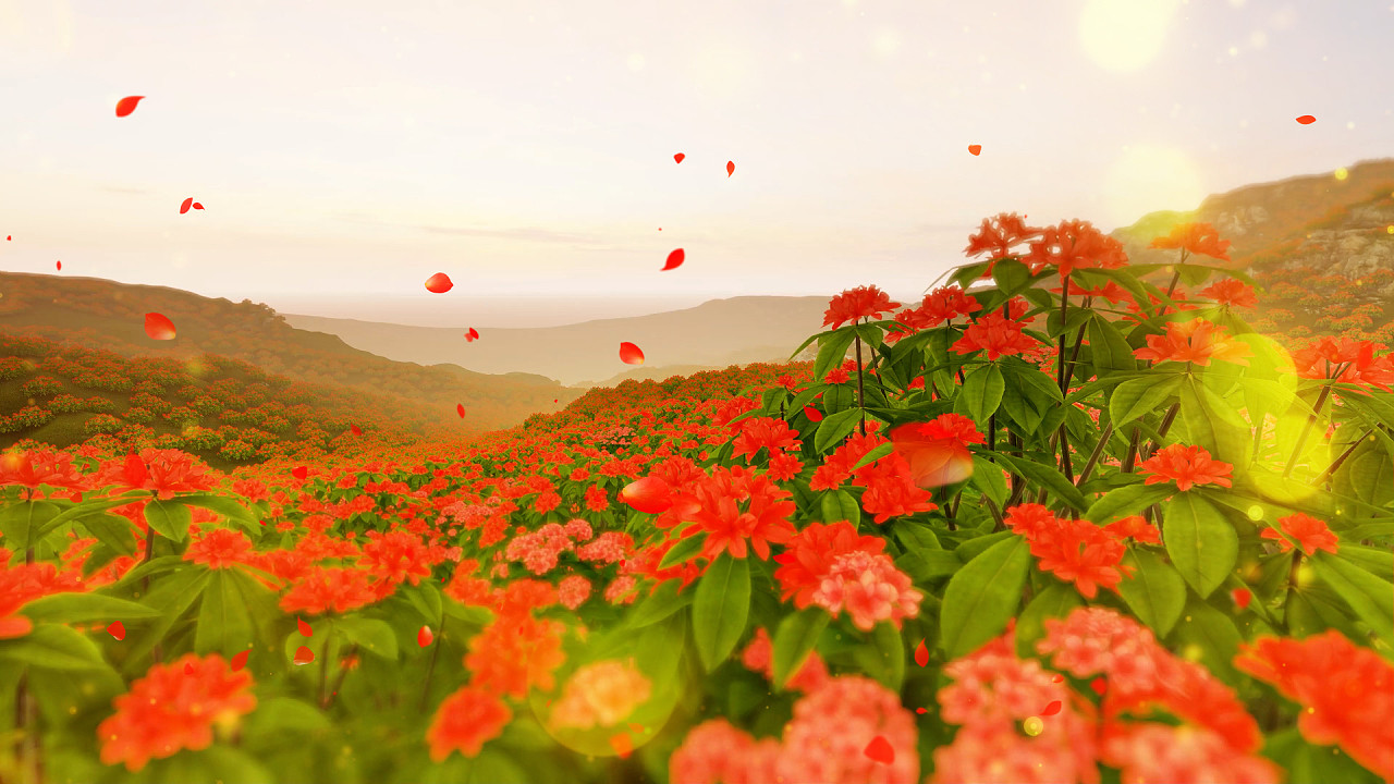 五月节是什么节日-五月节：花海盛开，才艺闪耀，校园欢乐大派对