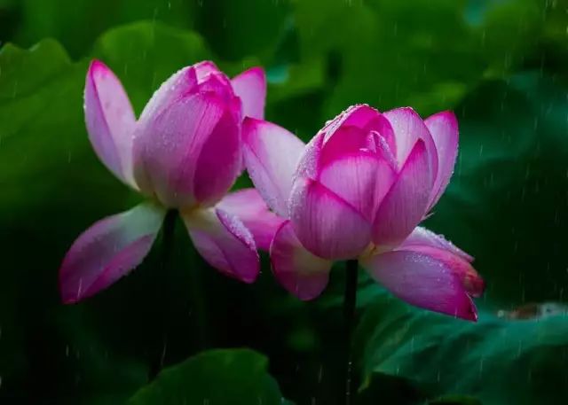 池姓_姓池的祖籍在哪里_姓池的历史名人