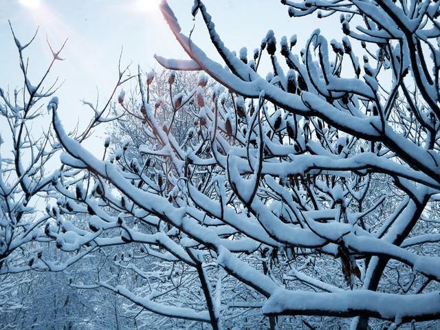 初冬月抒发了怎样的人生感悟_冬月初十_冬月初二生日的明星