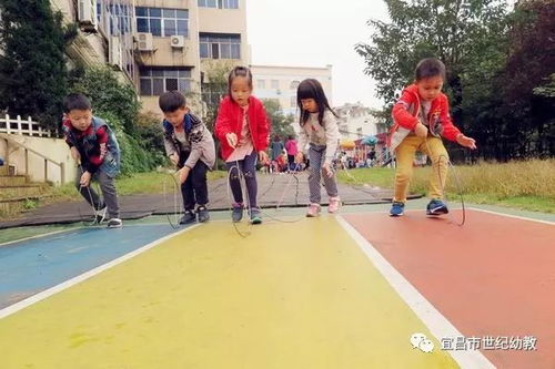 体育游戏的特点,激情与智慧的完
